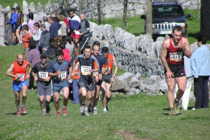 2006